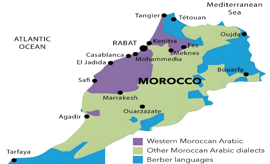 Moroccan Arabic Translation